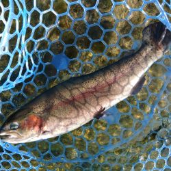 三桁釣果に大物もキャッチ！